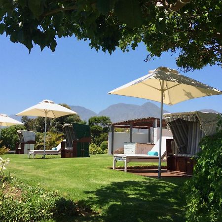 Apricot Gardens Guesthouse Gordonʼs Bay Dış mekan fotoğraf