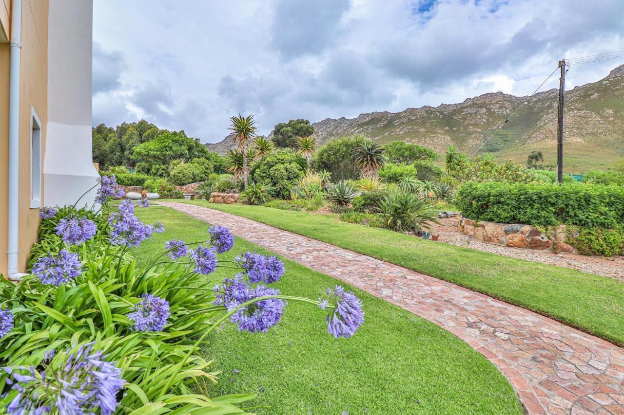 Apricot Gardens Guesthouse Gordonʼs Bay Dış mekan fotoğraf